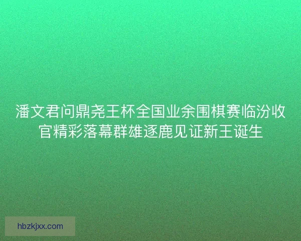 潘文君问鼎尧王杯全国业余围棋赛临汾收官精彩落幕群雄逐鹿见证新王诞生 潘文君问鼎尧王杯全国业余围棋赛临汾收官精彩落幕群雄逐鹿见证新王诞生